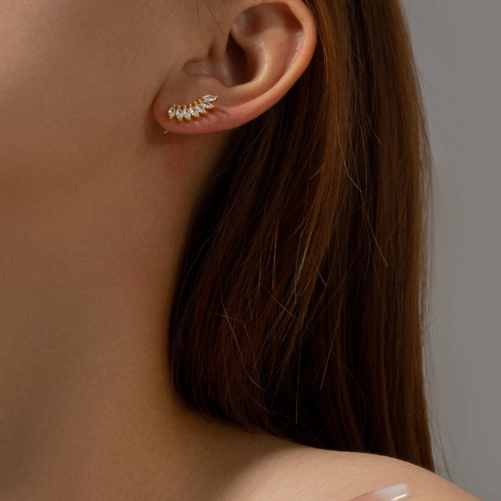 description_selected4